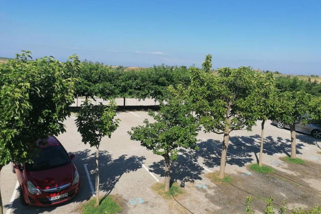קסנדריה Deluxe Villa In Village Club מראה חיצוני תמונה