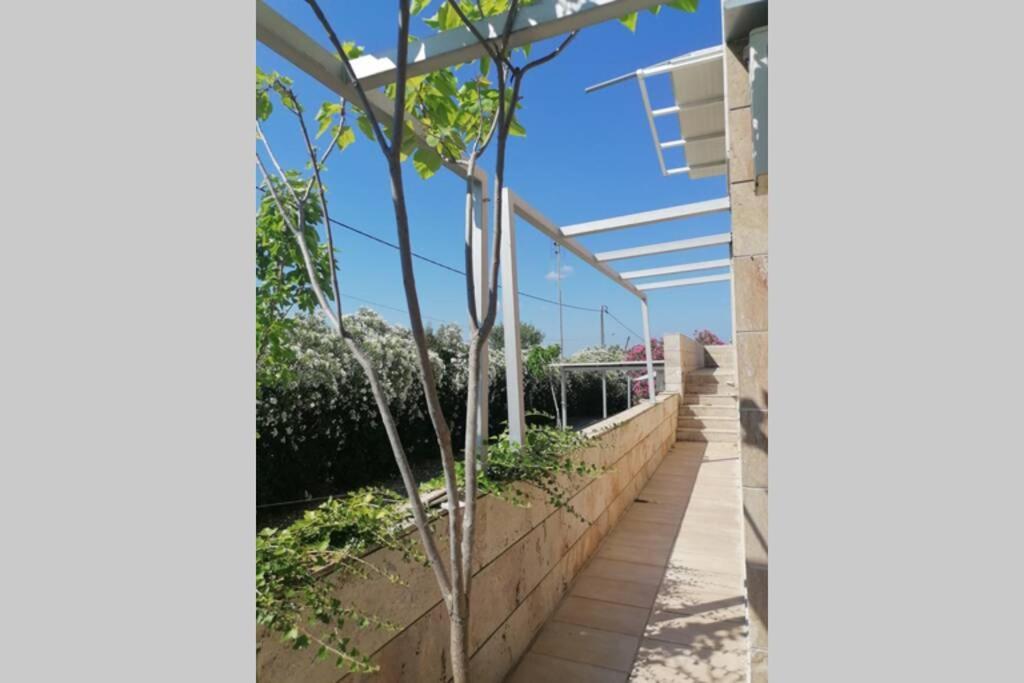 קסנדריה Deluxe Villa In Village Club מראה חיצוני תמונה